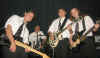 Litterband_Show1.JPG (71915 Byte)