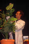 31.jpg (62423 bytes)