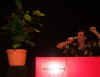 IMGP0276.JPG (346912 Byte)