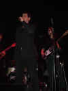 3.jpg (280227 Byte)